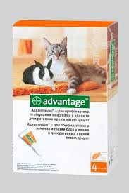 Байєр АДВАНТЕЙДЖ 40 д/кішок та кроликів до 4кг 4 шт/уп Байєр.