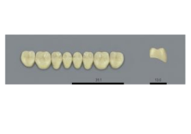 VITA MFT нижние боковые, цвет 1M1, размер PL31