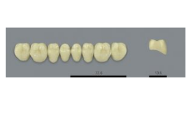 VITA MFT нижние боковые, цвет 1M1, размер PL33