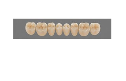 VITA MFT нижние боковые, цвет 0M3, размер PL31