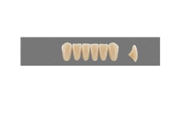 VITA MFT нижні фронтальні, колір 3R2.5, розмір L34