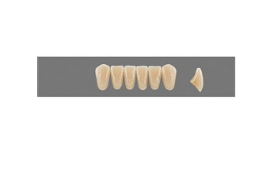 VITA MFT нижние фронтальные, цвет 3M2, размер L34