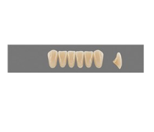 VITA MFT нижние фронтальные, цвет 2M1, размер L34