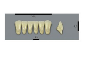 VITA MFT нижние фронтальные, цвет 1M1, размер L37LN