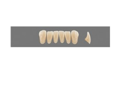 VITA MFT нижние фронтальные, цвет 1M1, размер L33