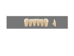 VITA MFT нижні фронтальні, колір 1M1, розмір L33
