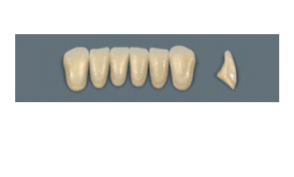 VITA MFT нижние фронтальные, цвет 0M1, размер L33
