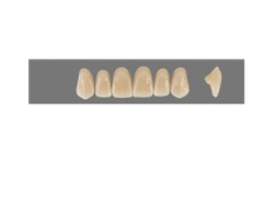 VITA MFT верхние фронтальные, цвет 5M1, размер T43
