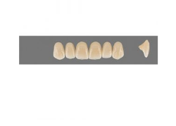 VITA MFT верхние фронтальные, цвет 5M1, размер R42