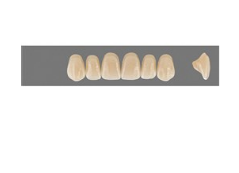 VITA MFT верхние фронтальные, цвет 4M2, размер R45