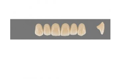 VITA MFT верхние фронтальные, цвет 4M2, размер R42