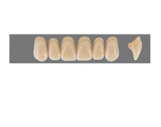 VITA MFT верхние фронтальные, цвет 4L1.5, размер S50