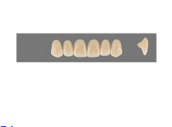 VITA MFT верхні фронтальні, колір 4L1.5, розмір R42