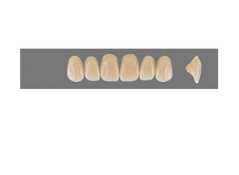 VITA MFT верхні фронтальні, колір 4L1.5, розмір O44