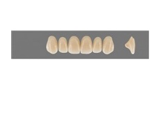 VITA MFT верхні фронтальні, колір 4L1.5, розмір O40