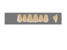 VITA MFT верхние фронтальные, цвет 3R2.5, размер T46