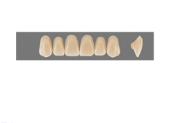 VITA MFT верхние фронтальные, цвет 3M2, размер T49