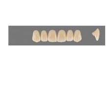 VITA MFT верхние фронтальные, цвет 3M2, размер R42