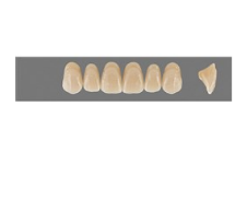 VITA MFT верхние фронтальные, цвет 3L1.5, размер T46