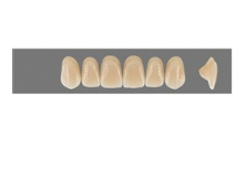 VITA MFT верхние фронтальные, цвет 3L1.5, размер R47