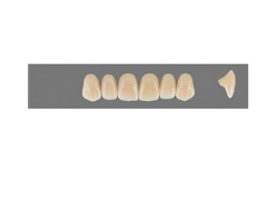 VITA MFT верхні фронтальні, колір 3L1.5, розмір R42