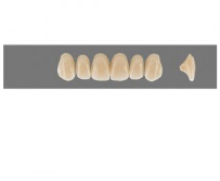 VITA MFT верхние фронтальные, цвет 3L1.5, размер O40