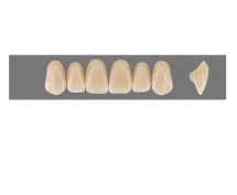 VITA MFT верхние фронтальные цвет, цвет 2M2, размер T49