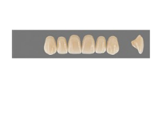 VITA MFT верхние фронтальные, цвет 2M1, размер R45