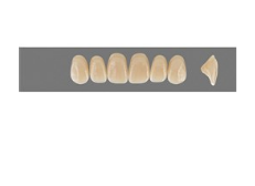VITA MFT верхние фронтальные, цвет 2M1, размер O44