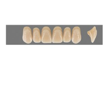 VITA MFT верхние фронтальные, цвет 2L1.5, размер S50