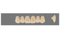 VITA MFT верхние фронтальные, цвет 2L1.5, размер R42