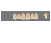 VITA MFT верхні фронтальні, колір 2L1.5, розмір R42