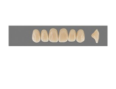 VITA MFT верхние фронтальные, цвет 2L1.5, размер O44
