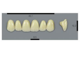 VITA MFT верхние фронтальные, цвет 1M1, размер T46