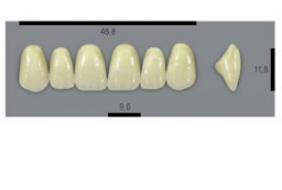 VITA MFT верхние фронтальные, цвет 1M1, размер T49
