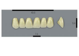 VITA MFT верхні фронтальні, колір 1M1, розмір T41