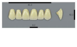 VITA MFT верхние фронтальные, цвет 1M1, размер T43