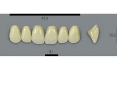 VITA MFT верхні фронтальні, колір 1M1, розмір O44