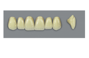 VITA MFT верхние фронтальные, цвет 0M1, размер S47