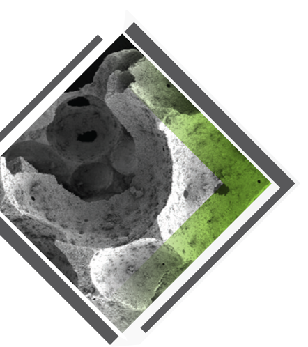 Синтетический заменитель костного трансплантата Bio3 Synthetics BIO3 Beta Bone BIO3 Beta Bone 500-1000, 1,0 гр