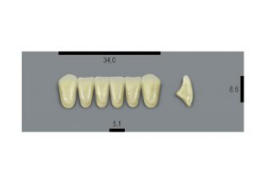 VITA MFT нижние фронтальные, цвет 1M1, размер L34