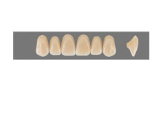 VITA MFT верхние фронтальные, цвет 3L2.5, размер T49