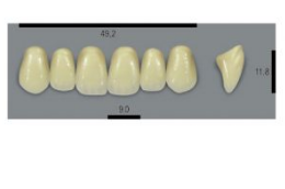 VITA MFT верхние фронтальные, цвет 1M1, размер O49