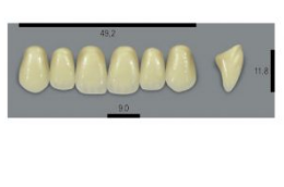 VITA MFT верхні фронтальні, колір 1M1, розмір O49