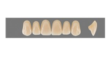 VITA MFT верхние фронтальные, цвет 0M3, размер T49