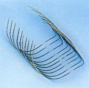 Стальная дуга, Leone (Италия)